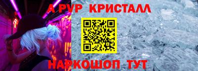 ешки Кингисепп