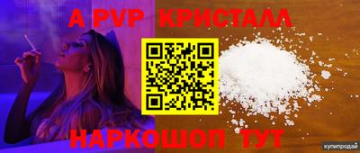 a pvp Кимры